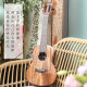 
Realsun ukulele Acacia Wood Full Vancouver AC/T200 Uklili Little Guitar Beginner Adult Singing 23-inch Electric Box Edition AC200 Full Single Piano Box