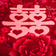 Nanjiren Big Red Wedding Celebration Blanket Double Layer Thickened 10 Jin Jin is equal to 0.5 kg Autumn and Winter Blanket Raschel Wedding Blanket Double Large Quilt Dowry Gift CC-655 Big Red (Double Happiness) Double Layer Thick Blanket 200*230cm About 10 Jin Jin is equal to 0.5 kg