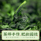 音朗茶叶乌龙茶 特级安溪铁观音 2025新茶正宗高山兰香自己喝袋装500g