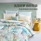 Fu'anna Home Textiles Quilt Core Antibacterial с семи отверстием волокна теплый четыре сезона Студент Студент Одеярь из семи отверстия антибактериального стеганого стеганого одеяла 1,5 м, подходящее для (203*229 см)