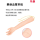 SHXI arteriovenous puncture and infusion arm model with indwelling needle for nurses to practice needle insertion and intramuscular injection training, injection and blood drawing S short arm + cloth bag