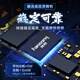 梵想（FANXIANG）S690MQ SSD固态硬盘 M.2接口(PCIe4.0x4) 适配PS5 笔记本电脑 AI电脑存储配件 500GB【读速4700MB/S】