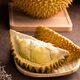 Jingxiansheng imported golden pillow durian, net weight 6-7Jin Jin is equal to 0.5kg, 1 pack, fresh fruit, fresh fruit