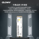 光威（Gloway）1TB SSD固态硬盘 M.2接口(NVMe协议) PCIe 4.0x4  7450MB/s 长江存储TLC颗粒 弈系列 