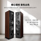 Balenald 156 haut-parleur de mise au plancher Double de 8 pouces basse fièvre fièvre hifi à trois minutes fréquence double 8 pouces en bois passif audio paire d'enceintes au sol + 698 amplificateur un