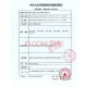 日本进口造口袋PROCARE系列12331一件式含排气过滤片大便肠道肛 (YOUCARE系列)16787造口袋 30个