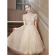 SAIDELE champagne color evening dress 2025 new adult gift small birthday party light luxury niche high-end art exam skirt for women champagne color medium length L (recommended 106-115Jin [Jin equals 0.5 kg])
