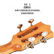 Aodsk Auc-F19 Ukulele joue une guitare en bois de base en acajou en acajou complet de 23 pouces