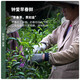 陈一凡特级铁观音清香型 茶叶新茶高山乌龙茶 铁观音传统纸包300g口粮茶