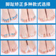 Baby and Children's Big Foot Toe Valgus et Backle Toe Correction Dispositif pour les enfants Toe à orteil curvé Splitter Yunan Yunfang Pharmacie Pharmacie (826) 1 à 8 ans White Five-Finger Toe Splitter / Deux paires les deux tailles