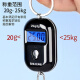 Baijie portable electronic scale portable portable scale mini electronic scale spring hook scale weighing vegetables weighing high-precision luggage scale