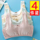Girls de sixième année Sous-vêtements Junior High School Underwear Growth Growth Étudiants 9-12-14-16 ans Junior School Students Students High School Students High School Students Small Vest Bras 829 (blanc + Pink + Skin + Blue) One Taille (12-18 ans)