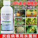 Hulian plant protection pesticide benzochlorid fresh anthracnose special medicine pepper vegetable citrus fruit tree strawberry agricultural sterilization 1000g (6 bottles)