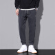 Pantalones informales de pájaros carpinteros Men sueltos sueltos Summer Nuevo estilo Harun Trendy Workwear Versátiles Sports Pants 9859 Gray Plus Velvet 2XL