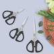 Zhang Xiaoquan scissors kitchen scissors office stationery multifunctional stainless steel strong household special scissors stainless steel scissors 12.5cm