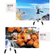 Jiang Ming Mobile Phone Live Bracket Tripod Shooting Selfie Video Internet Celebrity Bracket Stabilizer Outdoor Lazy Mobile Phone Camera Live Broadcast Equipment Huawei/Apple/Xiaomi Universal Bracket Desktop Live Broadcast Tripod