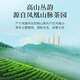 华祥苑茶叶自己喝 凤凰单枞茶特级鸭屎香潮州单丛茶乌龙茶2罐共250g