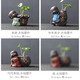 Yuxuan creative purple sand tea pet piano chess calligraphy and painting ornaments handmade small flower pots hydroponic flower arrangement tea play tea tray ornaments everything goes well flower pots-Huang Yi