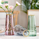 Vase Ornaments Transparent Phnom Penh Living Room Water Vase Flower Arrangement Dried Flowers Internet Celebrity Creative Glass Vase Ornaments 5111 Colorful Glass Vase Height 22cm