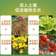 Yuntianhua Phosphate Fertilizer Granules Superphosphate General Flowering Fertilizer Household Fruit Tree Vegetable Green Plant Compound Fertilizer 100 Jin Jin equals 0.5 kg Yuntianhua Phosphate Fertilizer 100 Jin Jin equals 0.5 kg