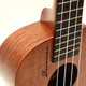 
Rainie 00 Dreamer Beginner Ukulele Peach Heart Beginner Boyfriends Little Guitar 23-inch C00