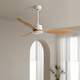 
Weather vane modern industrial style lightless 56-inch ceiling fan restaurant ceiling simple electric fan living room commercial study fan frequency conversion 42-681A black 3 leaf - black leaf remote control