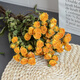 AIMAN flowers real flowers multi-headed small roses dried flowers Yunnan air-dried DIY small fresh ins bouquet living room decoration ornaments stunning bubble four colors 10 pieces dried flower bag