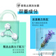 Flancez du shampooing anti-dandroff à parfum pour hommes et femmes Dance Dance 530g Shampooing Fragrance Shampooing for Hair Cream