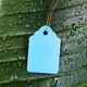 100 sheets of PVC color plastic plant tags for flower gardening potted plants, small seedling tags, succulent tags, 7x5cm blue, 100 sheets in a bundle