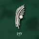 Jay coat brooch, high-end female corsage, suit accessories, birthday gift for mother, mother-in-law and elders