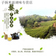 Shihuai Jiangxi famous tea Wuyuan green tea Wu brand special Maojian rain cloud tea canned bagged bulk special tea Wuyuan Maojian 200g