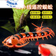 
Feidule children's electric remote control spider toy crawling simulation small animals 4-6 years old boy and girl yellow and black remote control centipede 9901+ screwdriver official