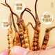 Lei Yunshang [Mid-Autumn Festival Gift] [Naru Qu, Tibet] Cordyceps gift box High-altitude Dried Cordyceps Gift High-end Wooden Gift Box Authentic Tibet Nagqu 3A-level 10g