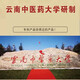 Panax Notoginseng oraler Flüssigkeit Yunnan Wenshan Authentischer frischer Extrakt Voller Pflanze Extrakt Panax Notoginseng Essence Offizielle Drei Kisten