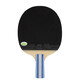 729 Ракетка для настольного тенниса Friendship, ручка, горизонтальный удар, одиночный удар. Золотая ракетка Samsung для настольного тенниса с 4-звездочной отделкой, прямая пластина для профессиональных тренировок. Золотой Samsung, одиночный, горизонтальный выстрел, длинная ручка.