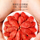 Fudonghai Ningxia Special Red Wolfberry 500g First new product Authentic Zhongning Disposable Gouqi Wolfberry Tea Soaked in Water