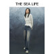 THE SEA LIFE欧海一生 绵羊毛混纺针织衫女时尚设计休闲毛衣E3527 云白色 S