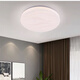 Vinoa modern minimalist bedroom ceiling light balcony light corridor light aisle light room study light starry sky ceiling light cream 40 cm 36 watt warm light