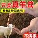 40Jin Jin is equal to 0.5kg. Pure sheep manure organic fertilizer for growing vegetables and flowers. Universal fermented chicken manure orchard nutrient soil. 29.9Jin Jin is equal to 0.5kg. No root burning, no insects and no smell. Inner Mongolia fermented pure sheep manure. 99 items left in the event.