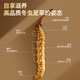 Usado en la cancha interior [Beijing Tongrentang First Golden Grass] Cordyceps sinensis 1G aproximadamente 3-5 pasto nutritivo empapado en vino y regalos