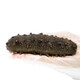 Xiaoqin Dalian frozen ready-to-eat sea cucumber 1000g 6-12 pieces Liao sea cucumber seafood
