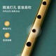 
romusic Irish whistle sluice six-hole recorder oral flute adult students beginner flute teacher recommendation English six-hole D-tune [matte black]
