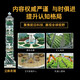 
Chinese Children's Encyclopedia Knowledge Book*File 2: The Mysteries of Food978755**15055