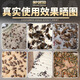 户净杀虫烟雾剂蟑螂烟雾杀虫剂灭虫烟雾弾烟熏剂灭蟑螂药强力效屋蚊蝇