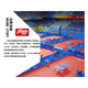 Red Double Happiness DHS Crazy H301 Crazy 301 Professional Carbon Table Tennis Racket Base Plate Horizontal Shoot