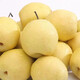 Jingxi Jiazhao County Snow Pear Hebei Snow Pear Suning Snow Pear Adecuado para hacer sopa 15 con caja 2 Jin Jin equivale a 0,5 kg Peso neto 1,6-1,8 Jin Jin equivale a 0,5 kg