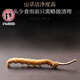 Ivanmai Authentic Cordyceps Cordyceps Cordyceps Cordyceps non-broken grass tube pack super large root gift box Liangshan Yifanmai Yifan five roots one bottle trial package
