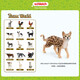 
Schleich S simulation animal model cat dog boy girl children toy gift enlightenment cognition 3+ Bengal leopard cat 13918