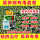 Special medicine for lettuce, special fungicide for lettuce disease, downy mildew, soft rot, gray mold, sclerotinia, brown spot, package one 102g