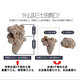 晓楚仁【官方直营】三七云南文山精选 无剪口春三七正宗田七 精选20头20个无剪口三七500克